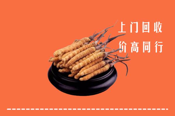 高价求购：宝丰县回收散虫草