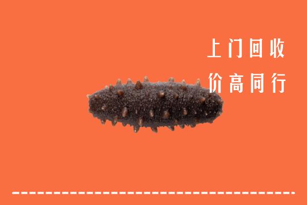 高价求购：宝丰县回收海参