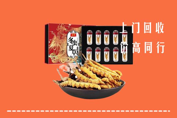 宝丰县回收虫草